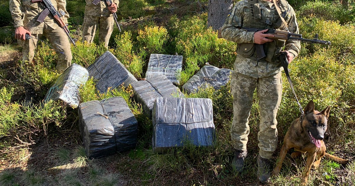 Жетісу облысында Қазақстаннан 700 тонна стратегиялық металды шекарадан заңсыз шығаруға жасалған әрекет тоқтатылды.
