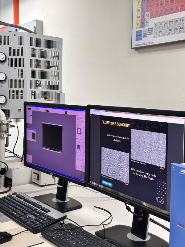 Қазақстанда Халықаралық жасанды интеллект мектебі ашылады