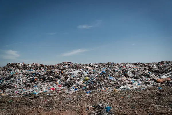 Қостанайда "қағаз жүзіндегі тазалық": Шындықты әшкерелеген экобақылау