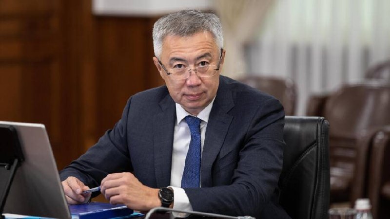 Үкімет неге мүгедектігі бар жандарға көмек кейінге шегеруде?